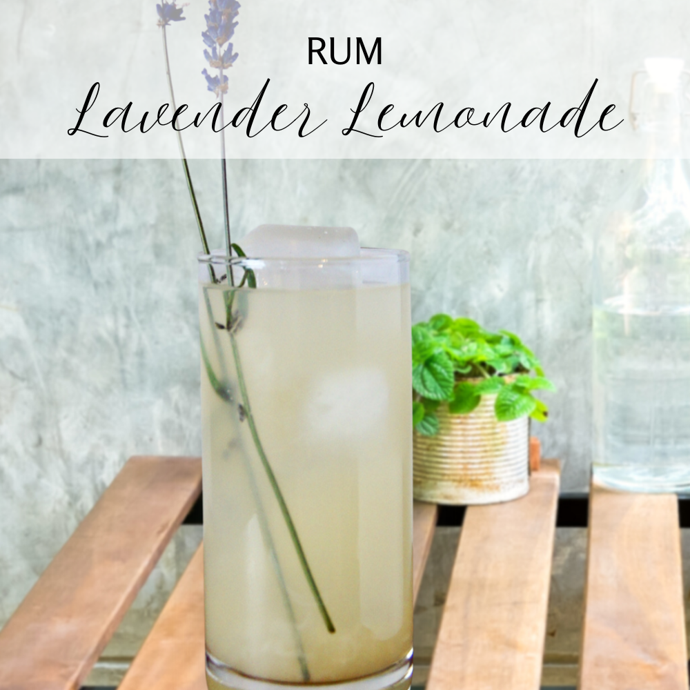 Lemon Gin Fizz cocktail infusion kit - Lemon + Lavender Oil + Demerara Sugar