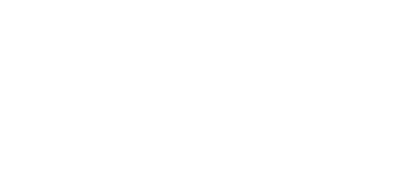 Soulshine Carolina simple logo